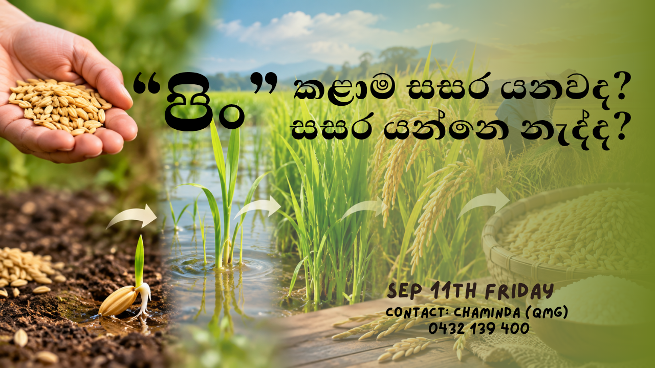 SN-4 (2.6.1) # 2 පිං කළාම සසර යනවද? සසර යන්නේ නැද්ද?
