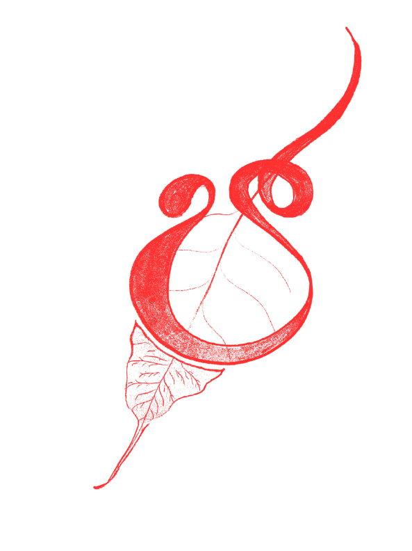 ආශීර්වාදාත්මක පිංකම